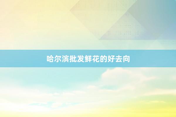 哈尔滨批发鲜花的好去向