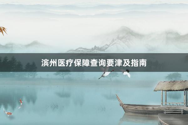 滨州医疗保障查询要津及指南