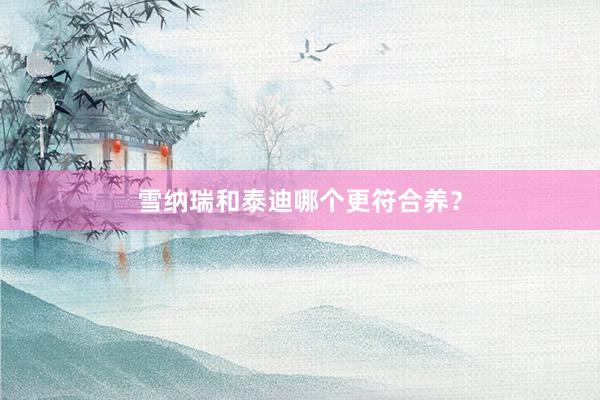 雪纳瑞和泰迪哪个更符合养？
